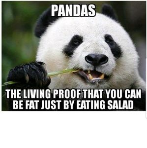 Meet your Posher, Sasha